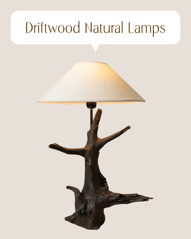 Driftwood Natural Lamps - Ghaaroon