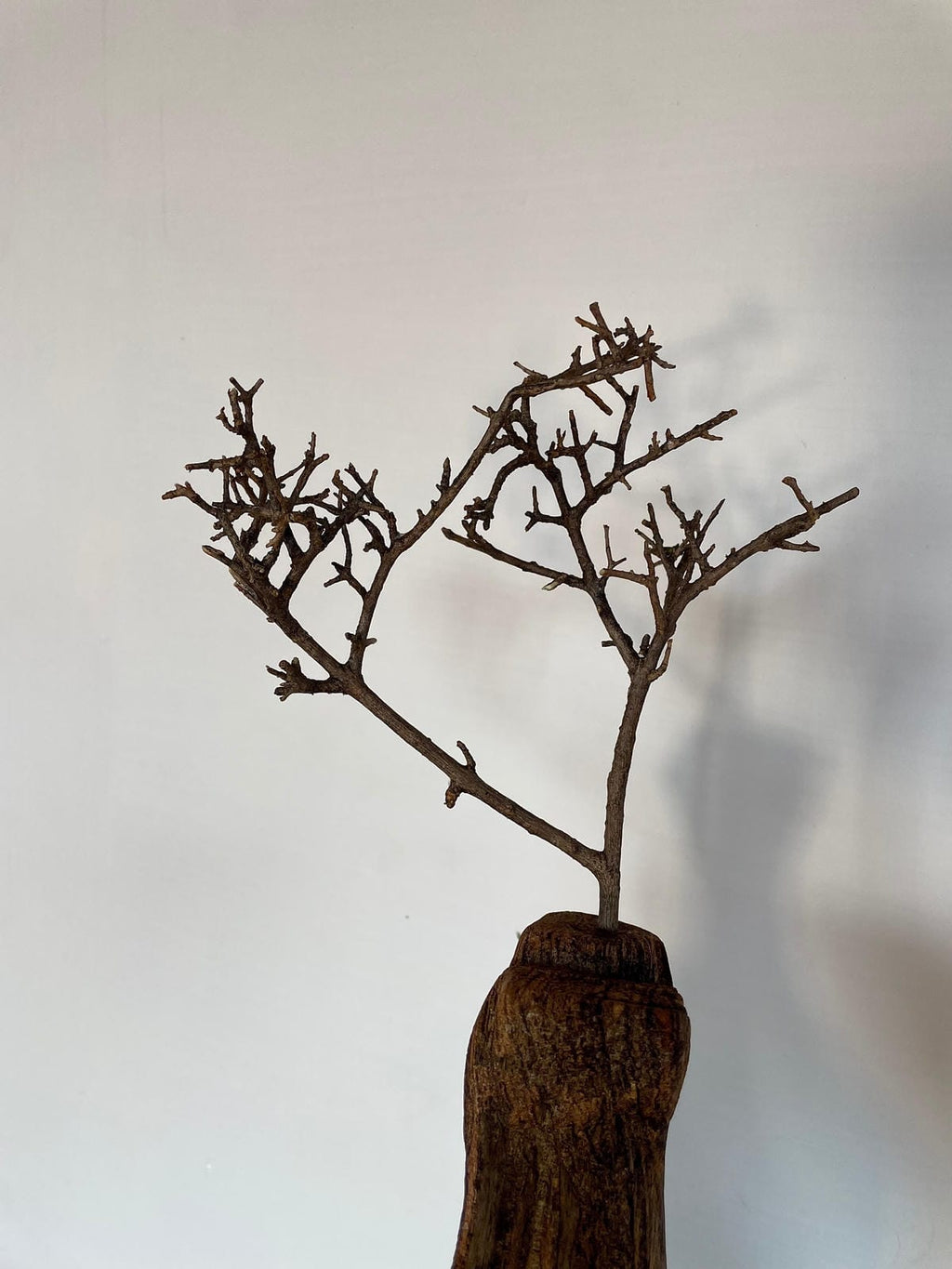 Handcrafted Live-Edge Wood Sculpture Vase – Dramatic Rustic Art Decor