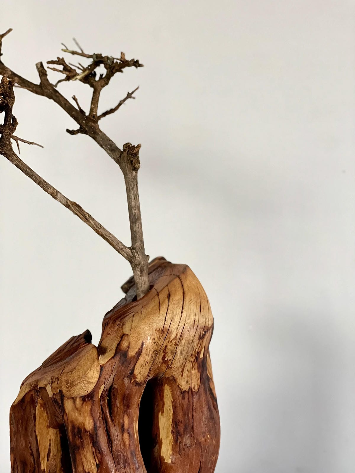 Rustic Live Edge Art Piece