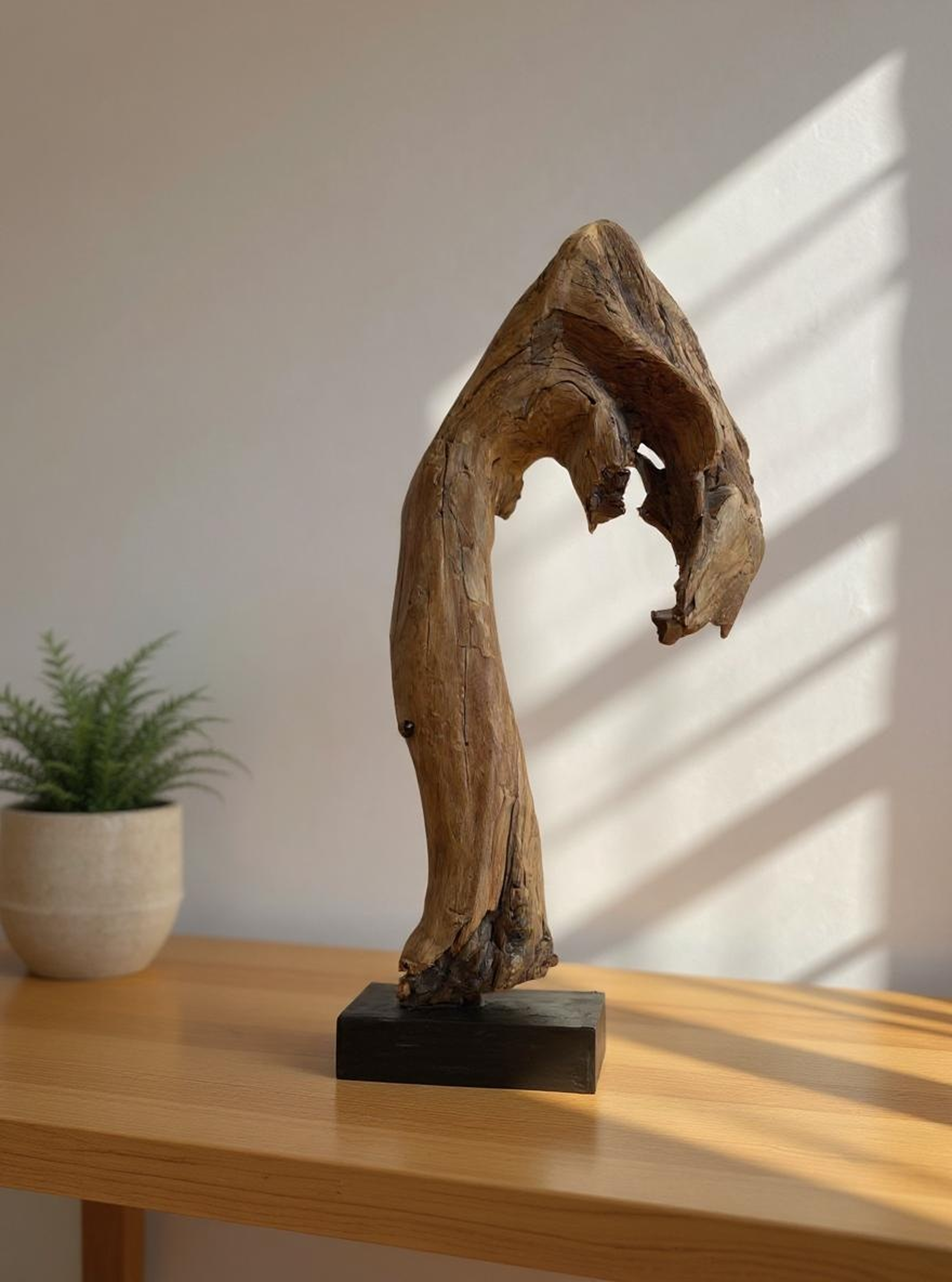 Natural Curved Wood Sculpture