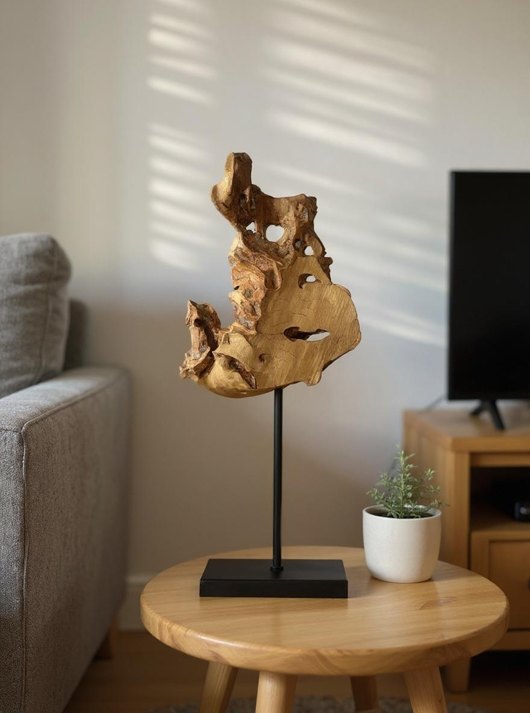 Abstract Teak Root Decor