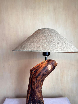 The Cantilever Jewel