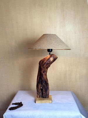 The Cantilever Jewel