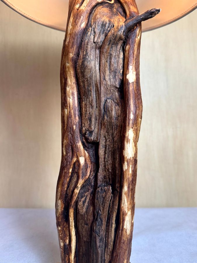 The Faultline Column