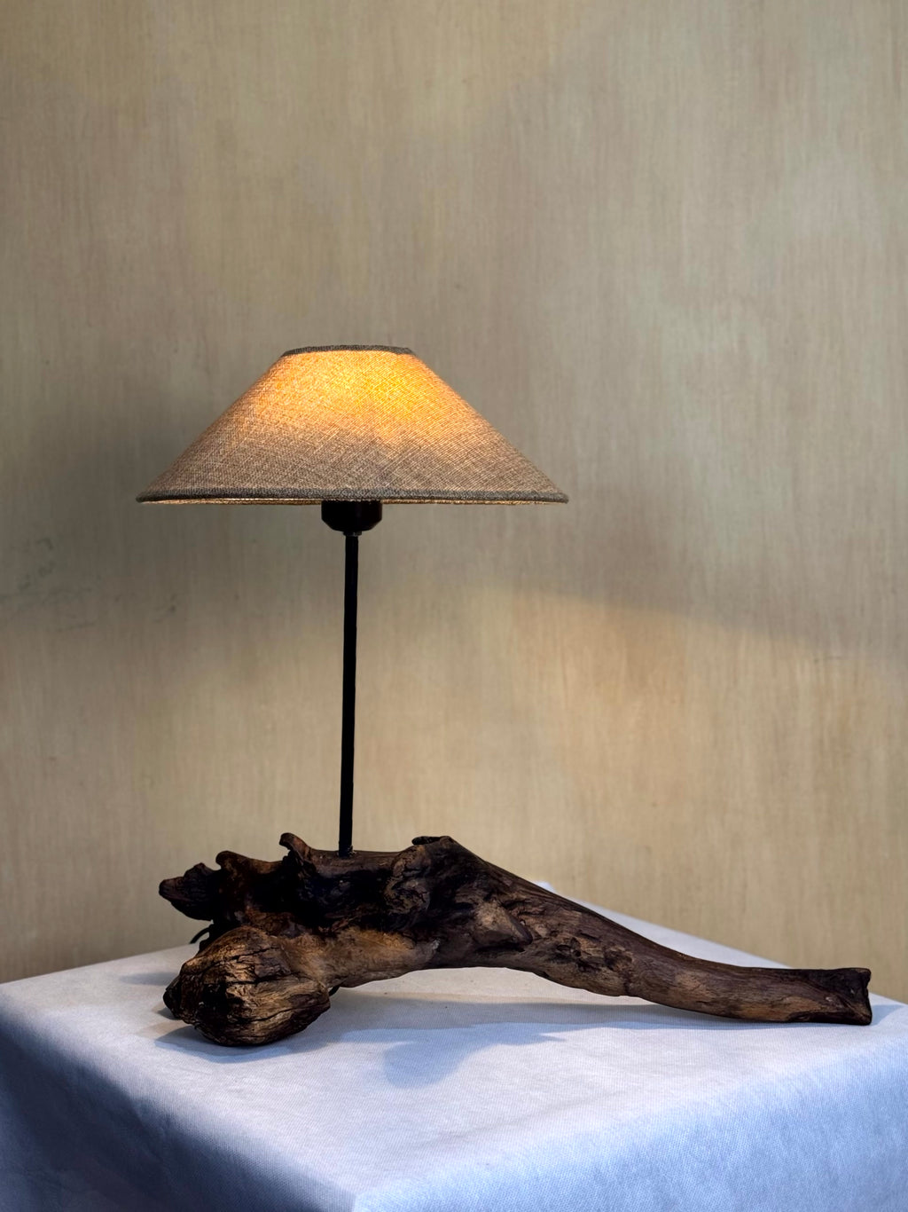 The Meridian Limb