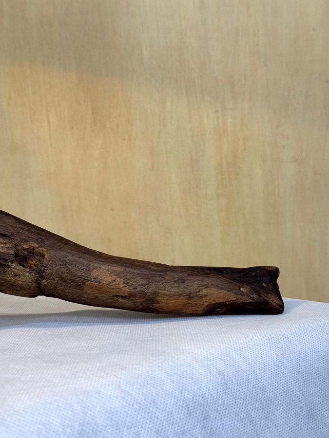 The Meridian Limb