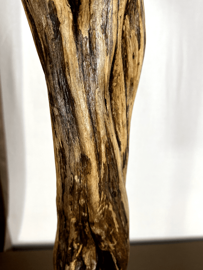 The Zephyr Wing