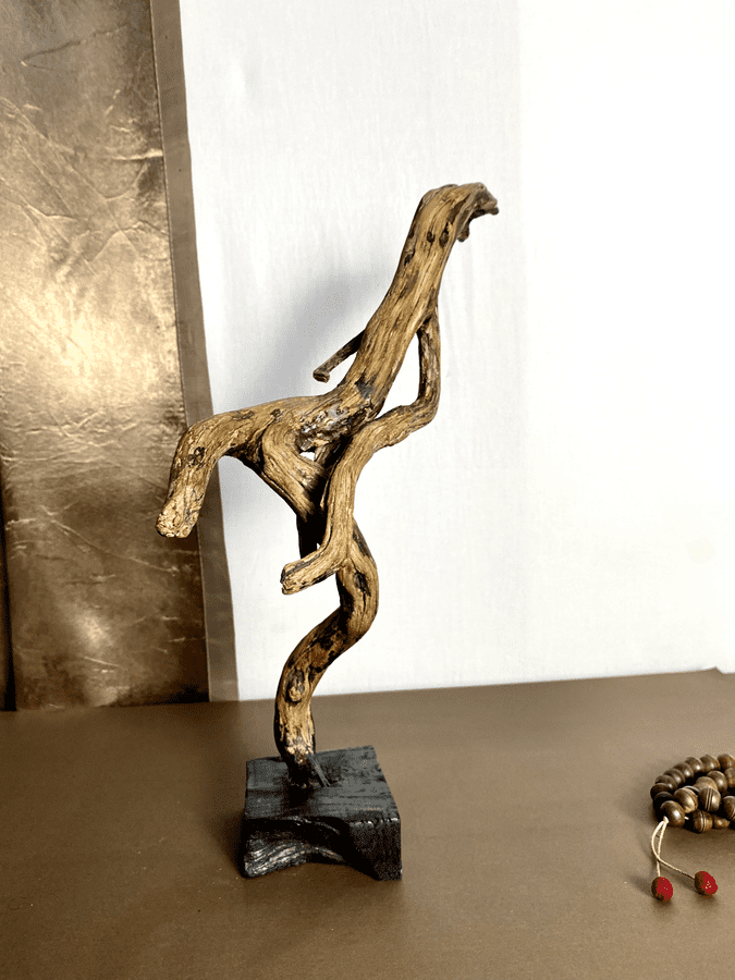 The Serpentine Flow