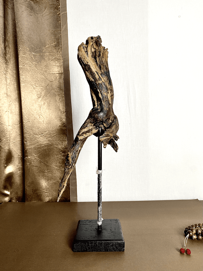 Obsidian Torso