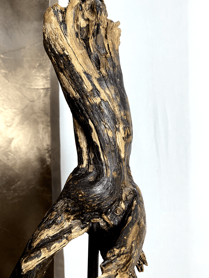 Obsidian Torso