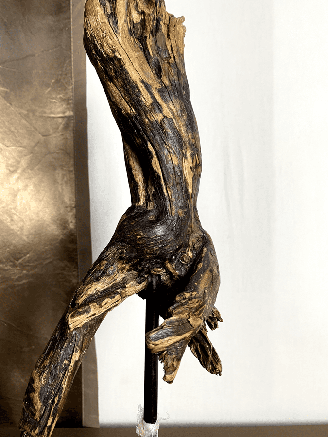 Obsidian Torso