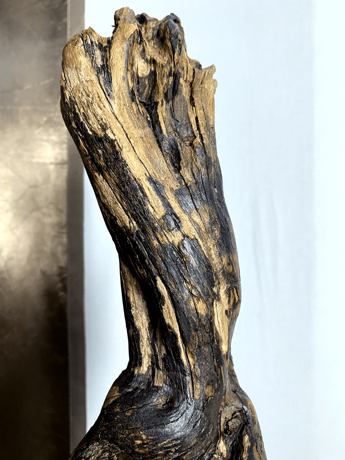 Obsidian Torso