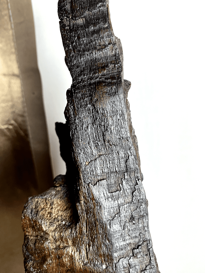 Ironwood Spire