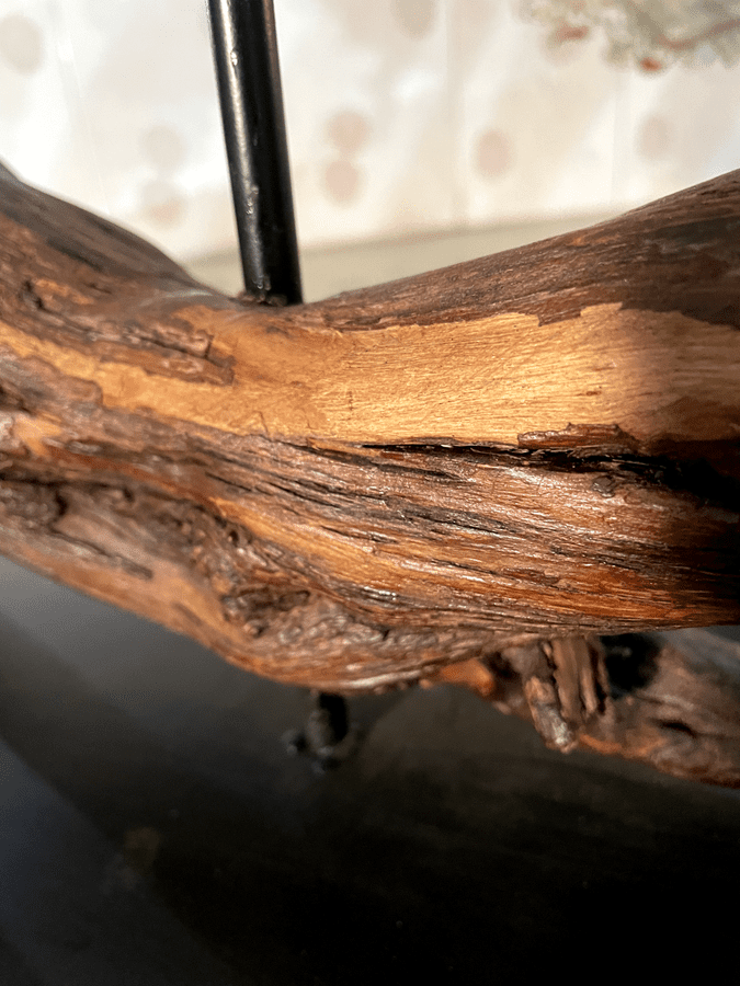 The Arborial Anchor