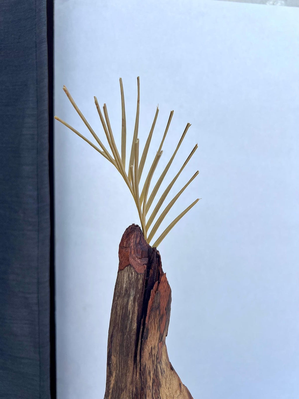 Elongated Driftwood Vase