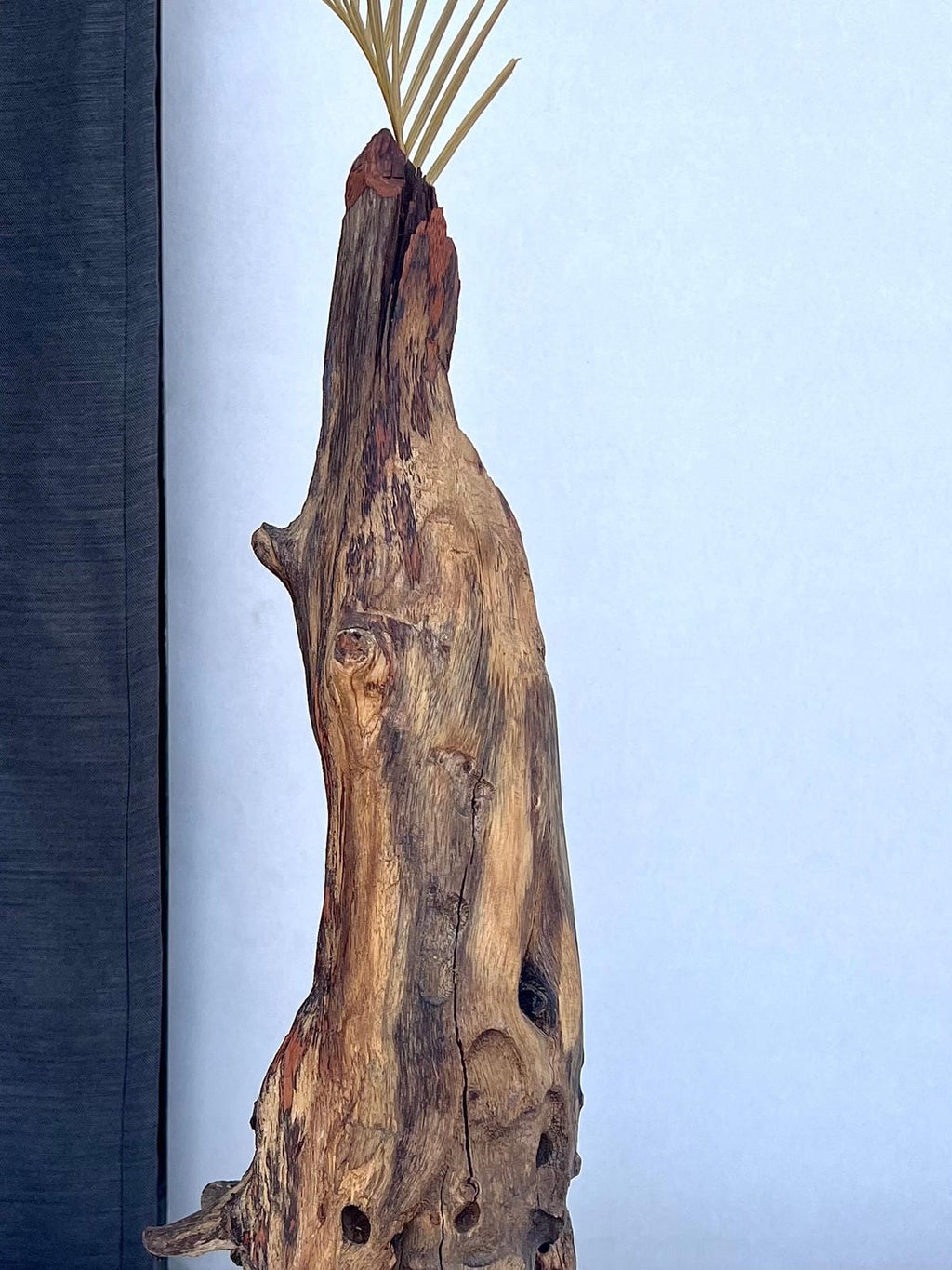 Elongated Driftwood Vase