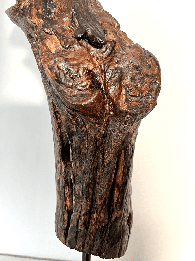 The Hollowed Relic