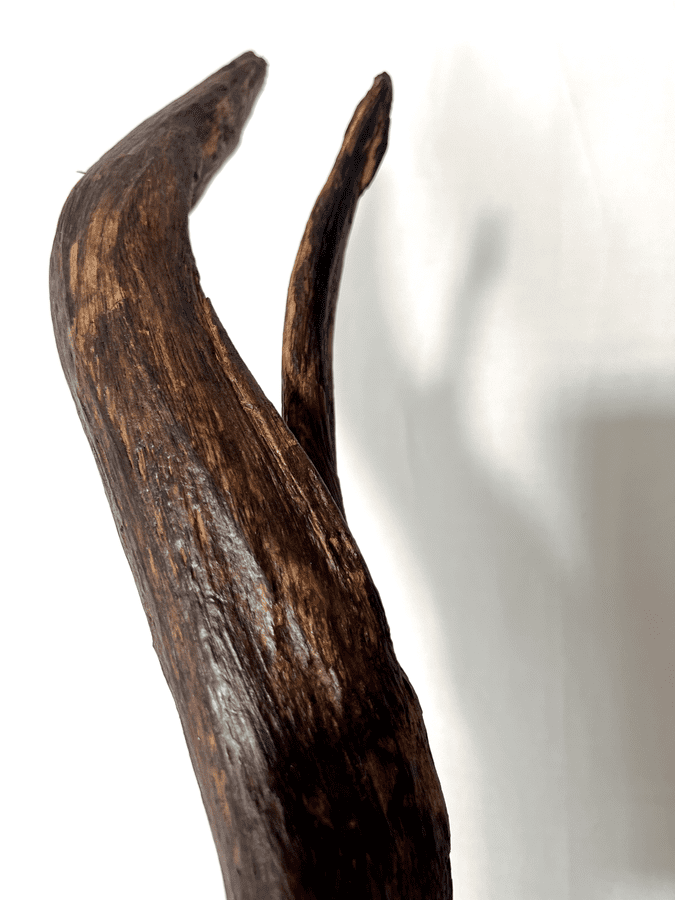 The Lithic Pillar