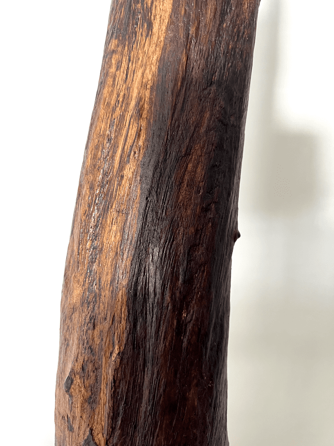 The Lithic Pillar
