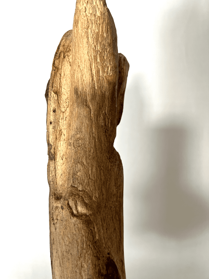 The Gilded Shard