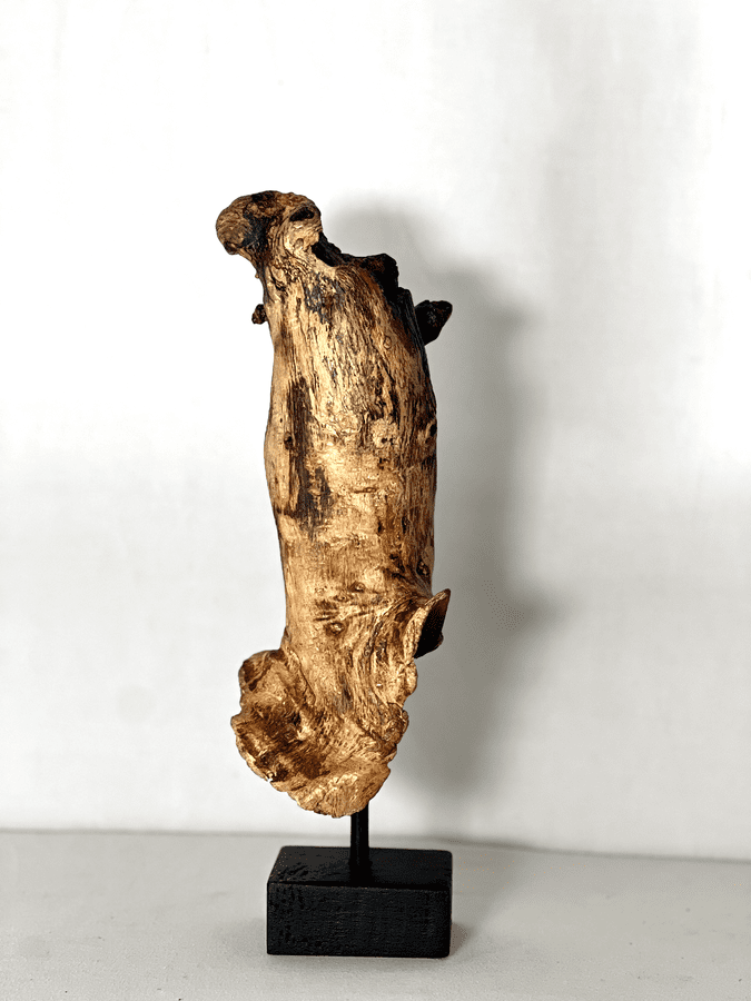 The Fossilized Wing