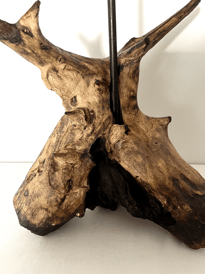 The Sylvan Crown