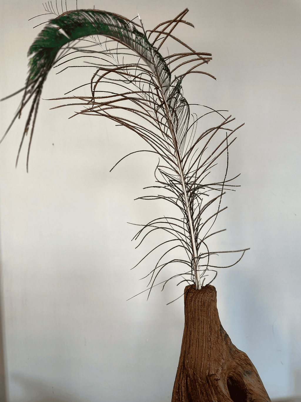 Unique Floor Vase with Peacock Feather Accent