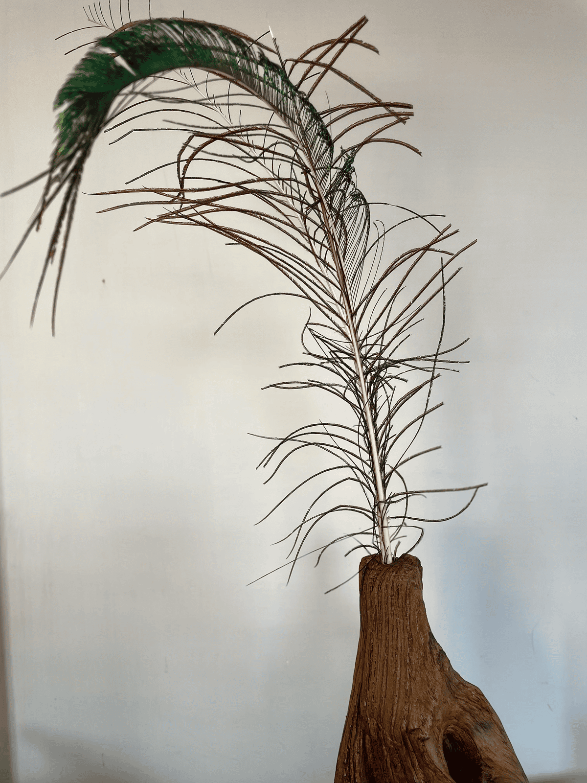 Unique Floor Vase with Peacock Feather Accent
