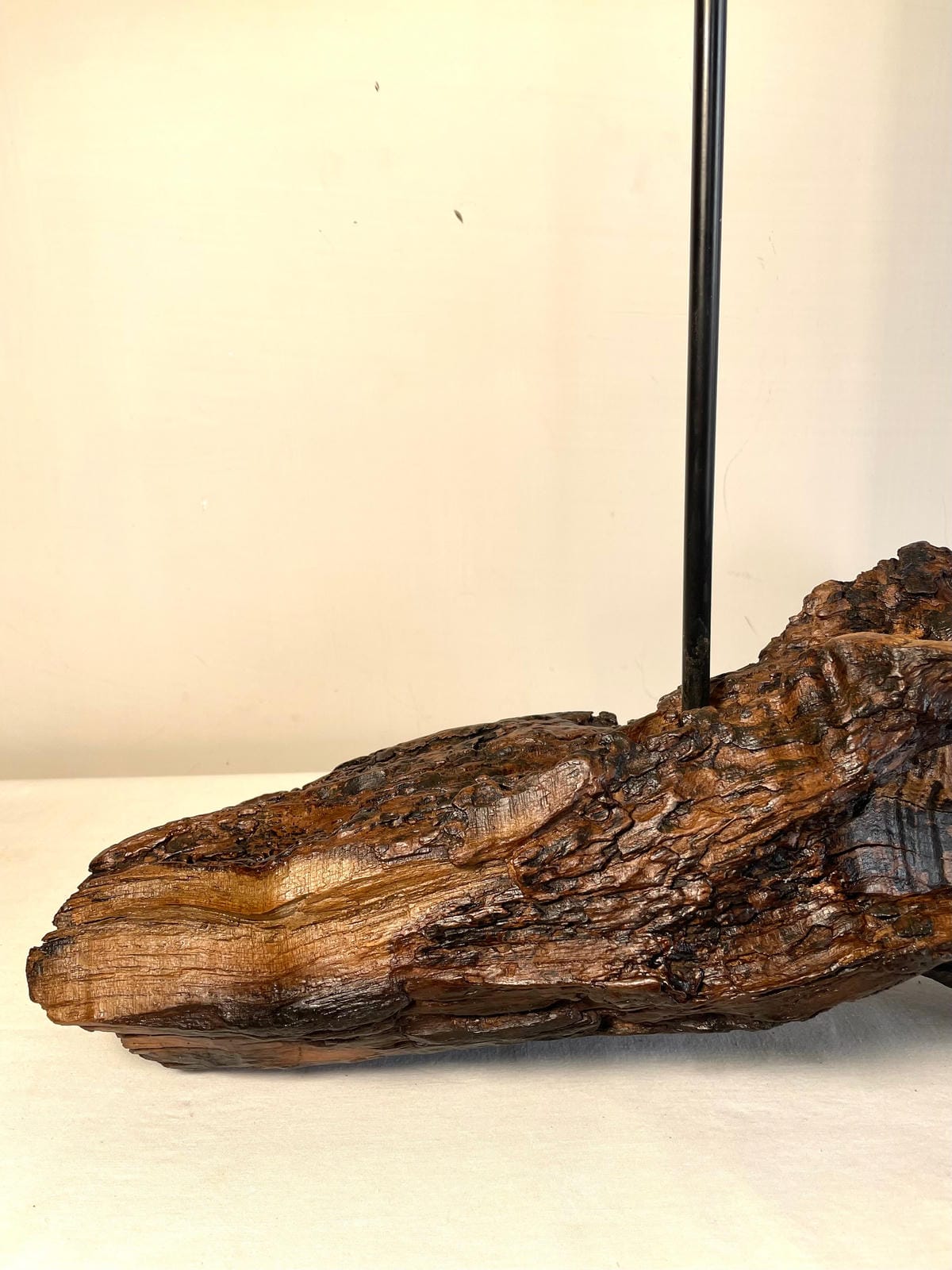 Untreated Organic Root Lamp