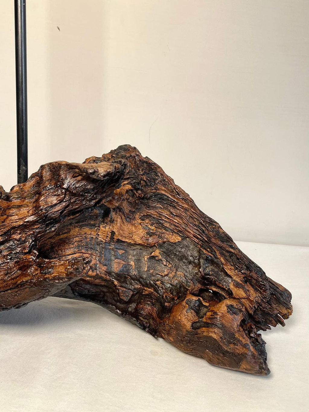 Untreated Organic Root Lamp