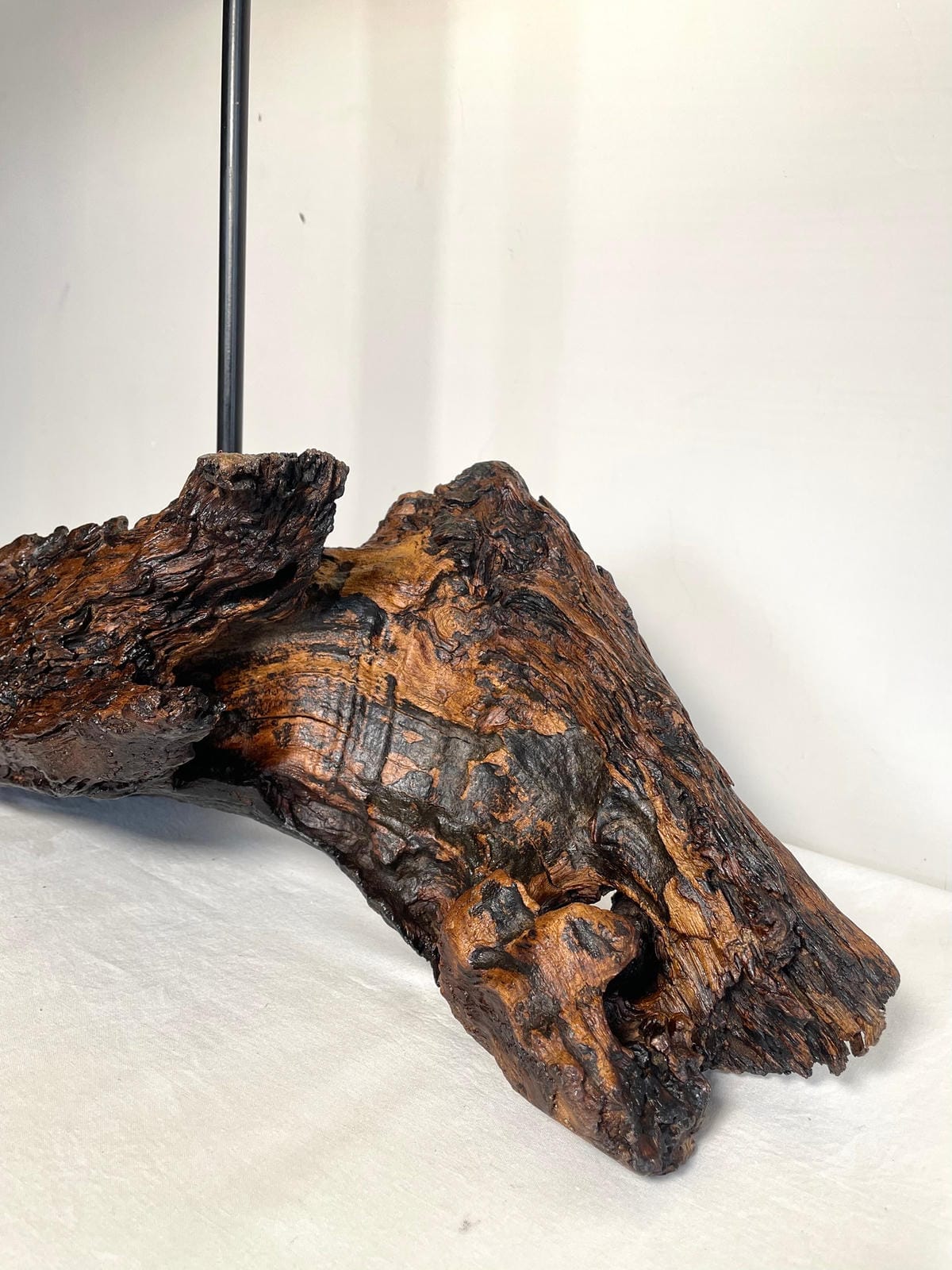 Untreated Organic Root Lamp