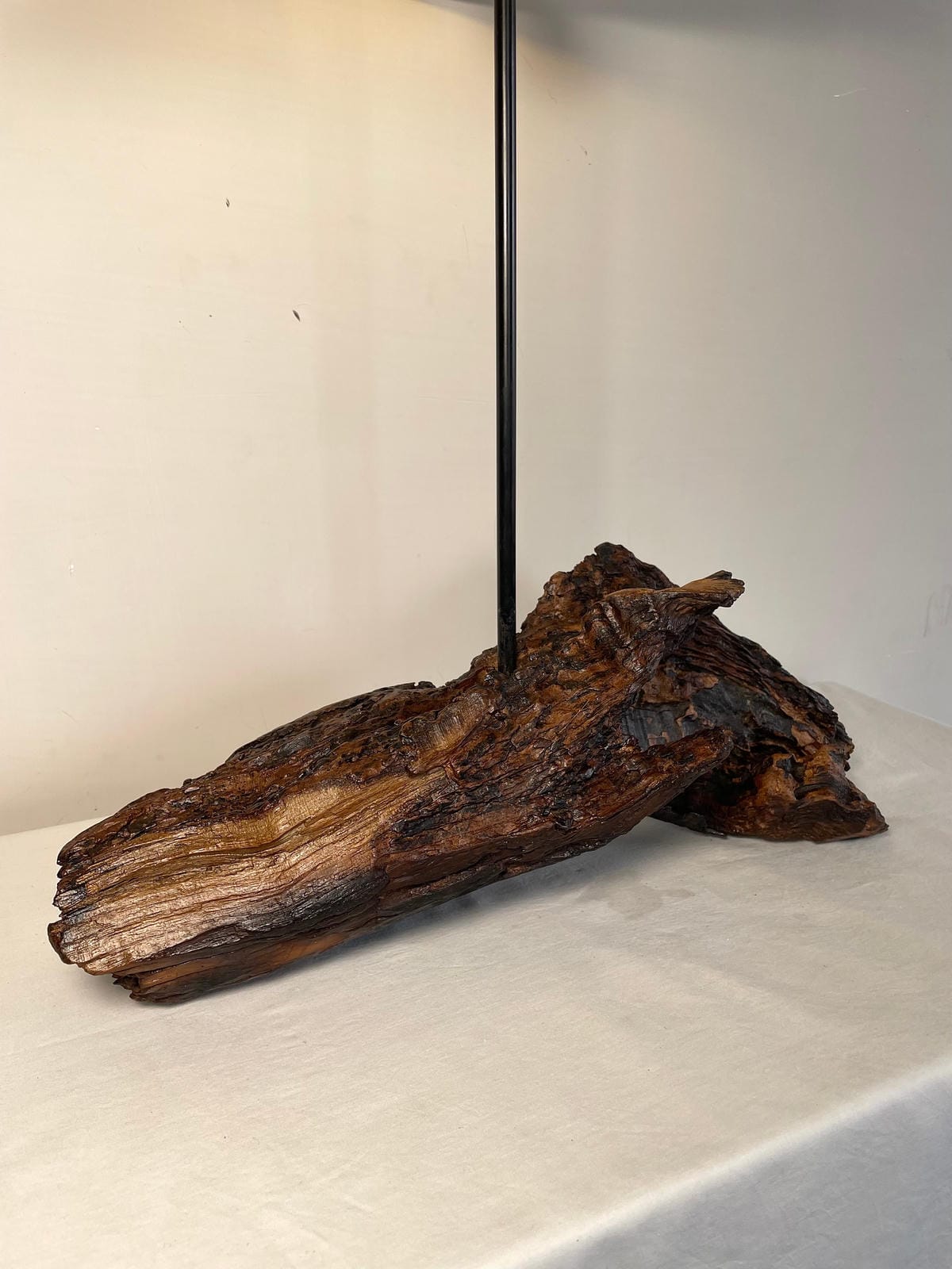 Untreated Organic Root Lamp