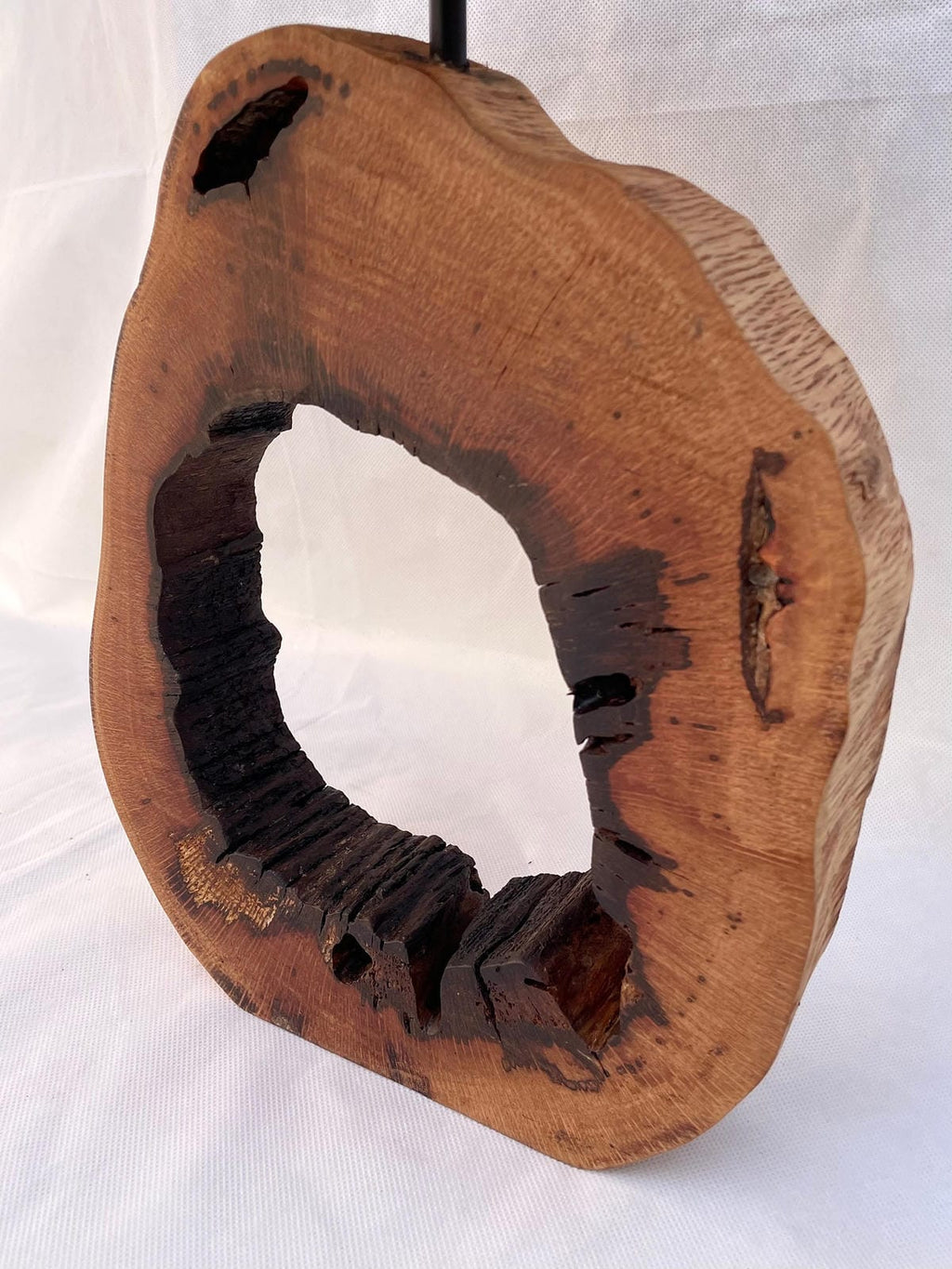 Natural Hollowed Rustic Lamp