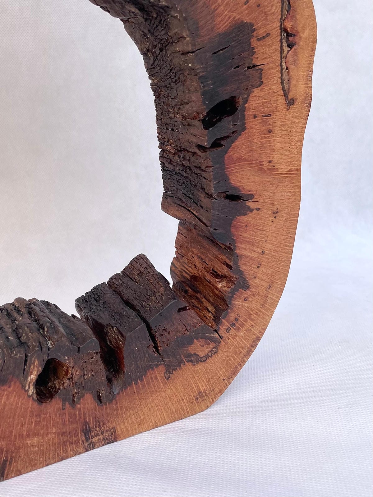 Natural Hollowed Rustic Lamp