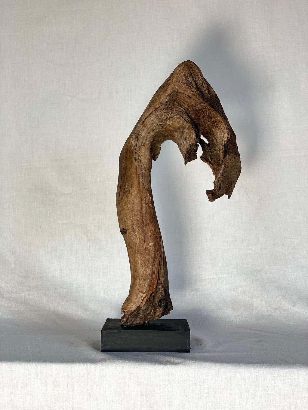 Natural Curved Wood Sculpture