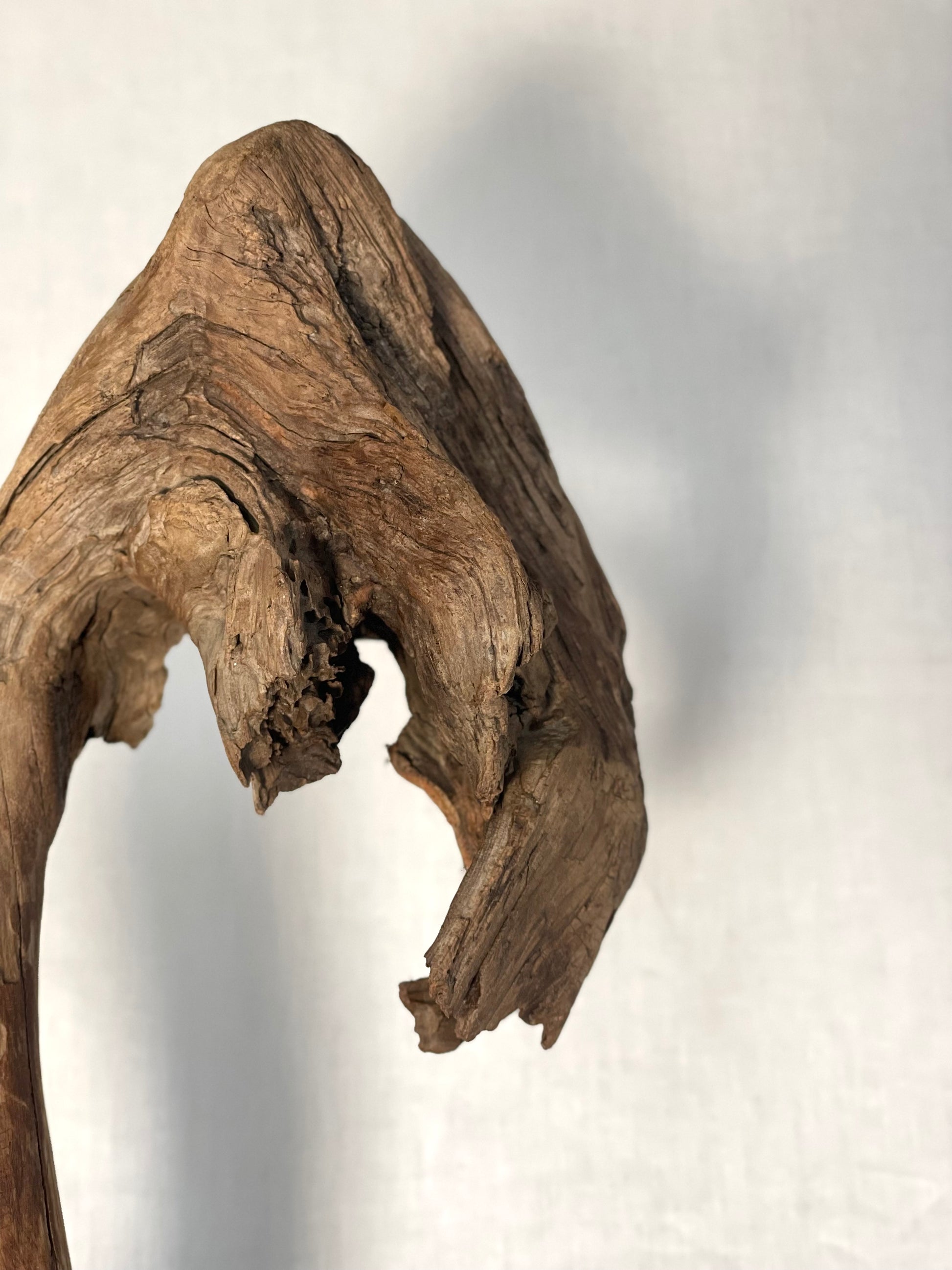 Natural Curved Wood Sculpture