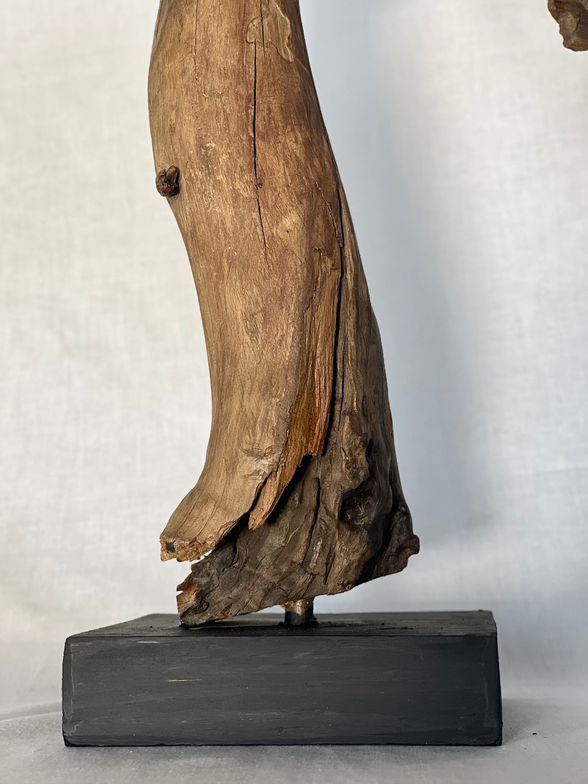 Natural Curved Wood Sculpture