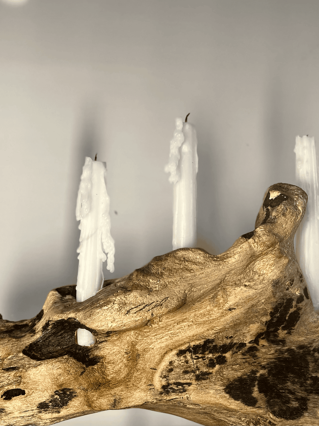 Sculptural Driftwood Candelabra on Modern Black Stand (Holds 5 Taper Candles)