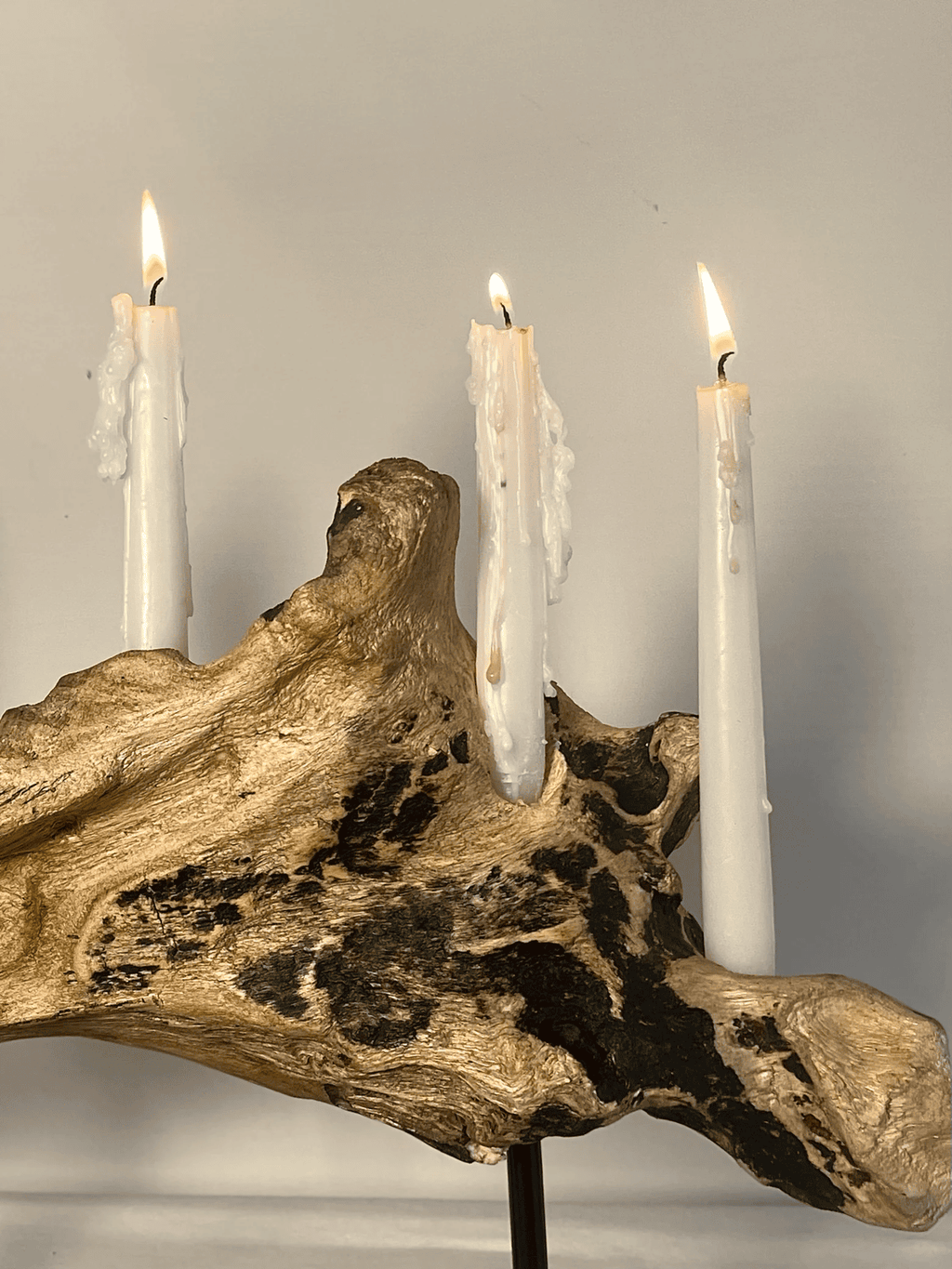 Sculptural Driftwood Candelabra on Modern Black Stand (Holds 5 Taper Candles)