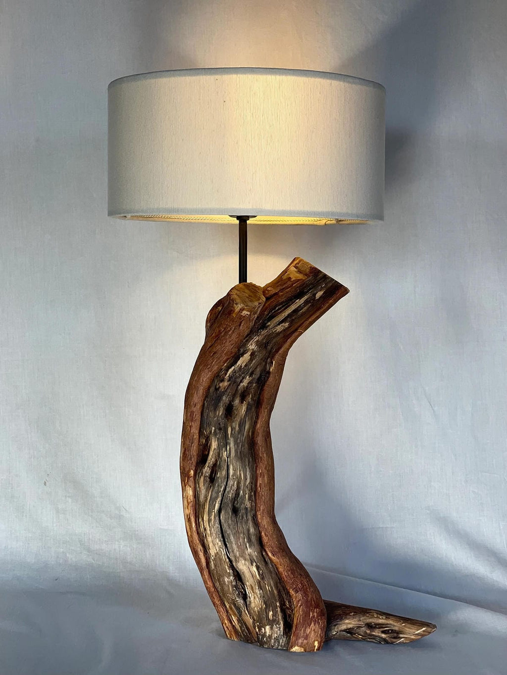 Unique Bent Wood Desk Lamp