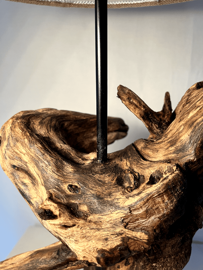 The Fossilized Flume