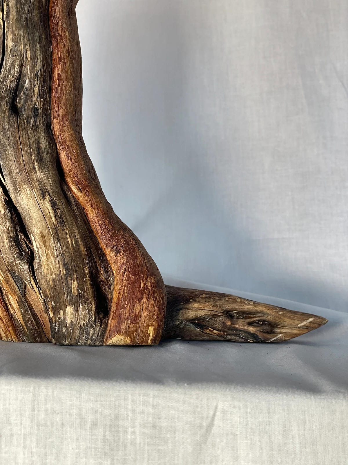 Unique Bent Wood Desk Lamp