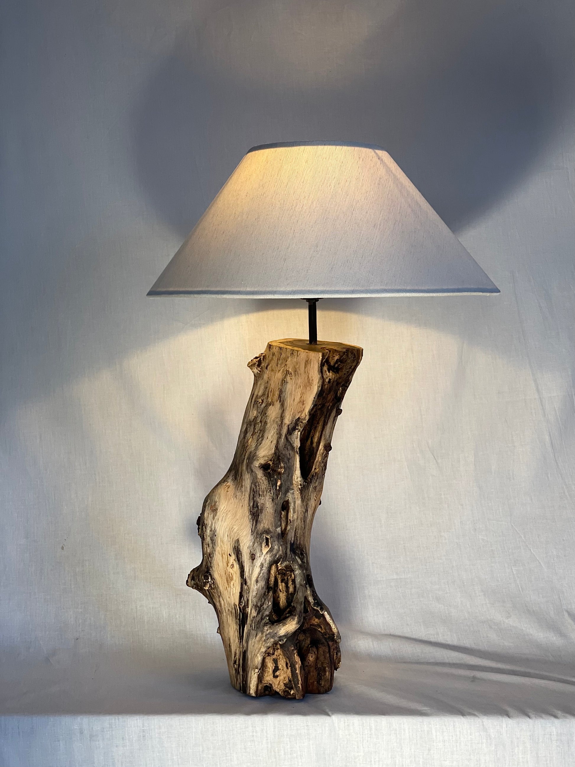 Unique Hollowed Root Wood Lamp