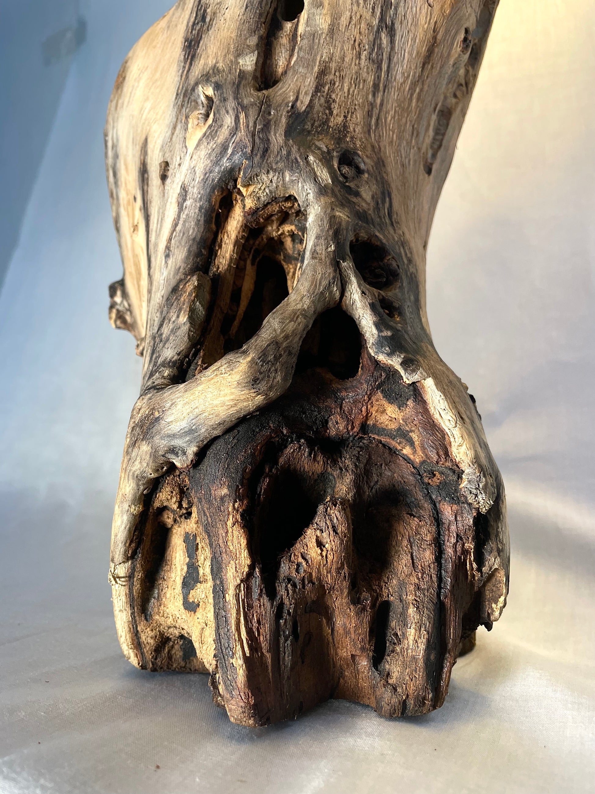 Unique Hollowed Root Wood Lamp