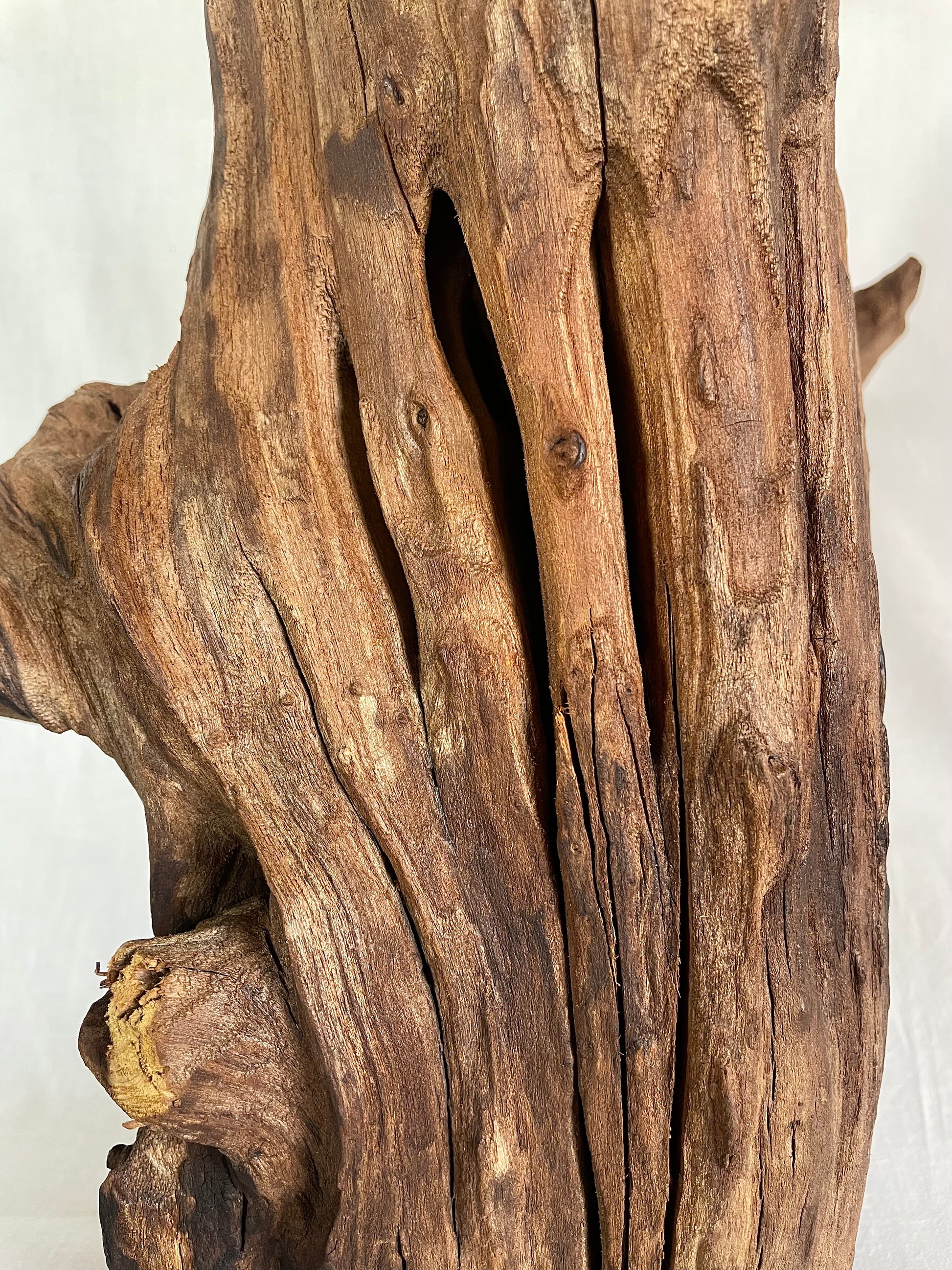 Rustic Tree Trunk Lamp