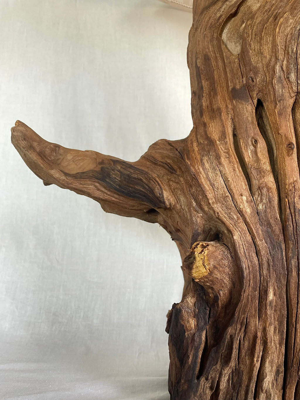 Rustic Tree Trunk Lamp