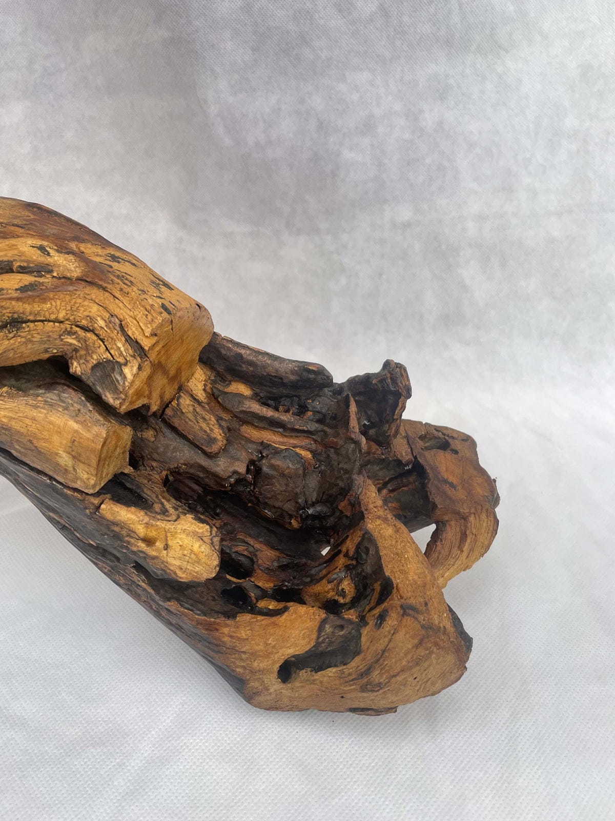 The Arched Driftwood Table Lamp