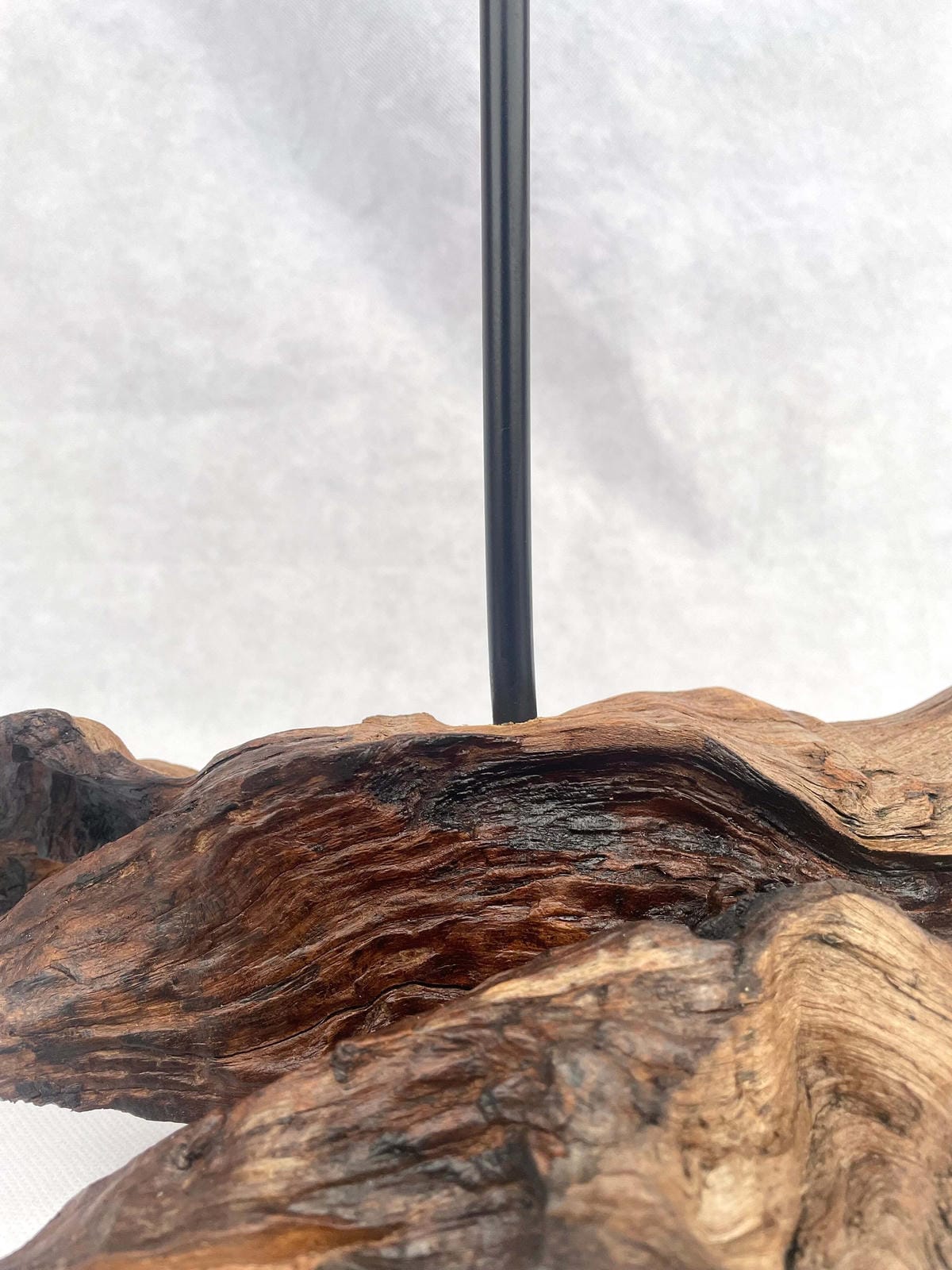 Rooted Teardrop Drift Wood Lamp