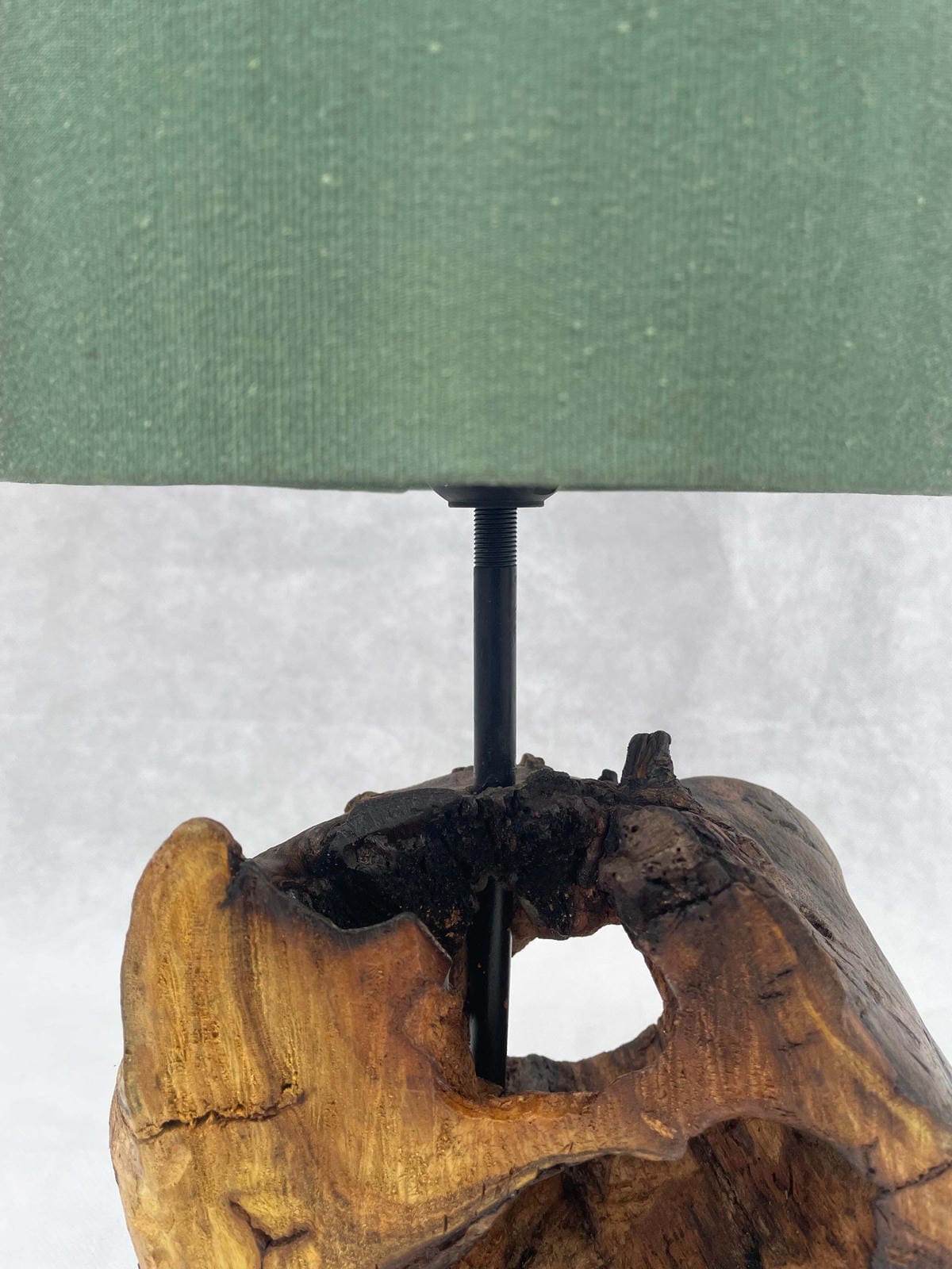Verdant Hollow Driftwood Lamp