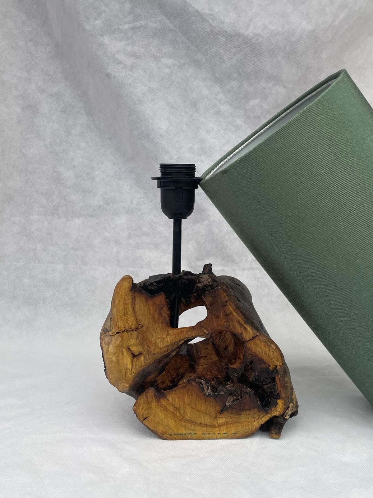 Verdant Hollow Driftwood Lamp
